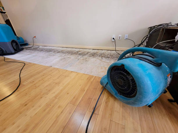 Professional Structural Drying technician working in North Bridgton, ME
